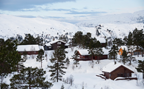 Utledninger dominerer blant de som Utlendinger dominerer blant de som leier private hytter private hytter 